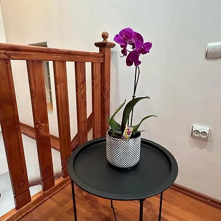 Appartement Easy Living - Old Town *
