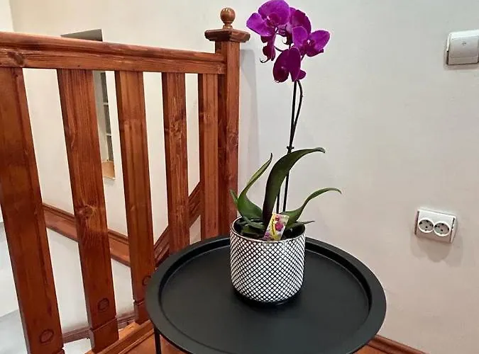 アパート Easy Living - Old Town *